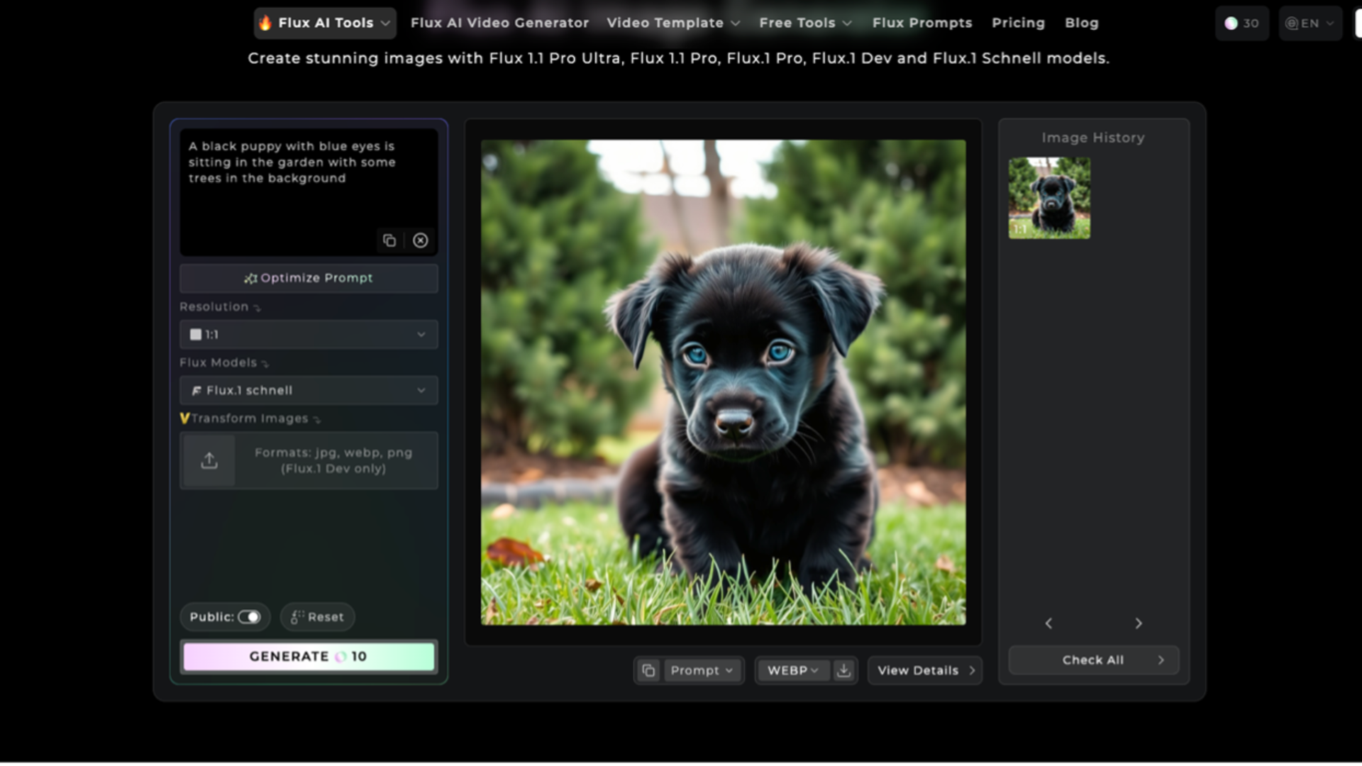 FLUX – Bild & Video-Generator